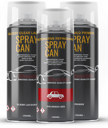 Aerosol spray paint kit for - spray,