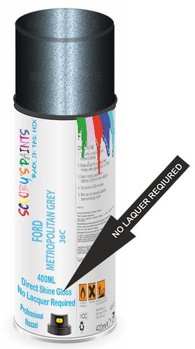 Direct paint spray - 36c, shine