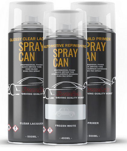 Aerosol spray paint kit for - paint,
