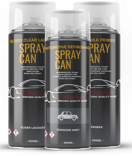 Aerosol spray paint kit - paint, for